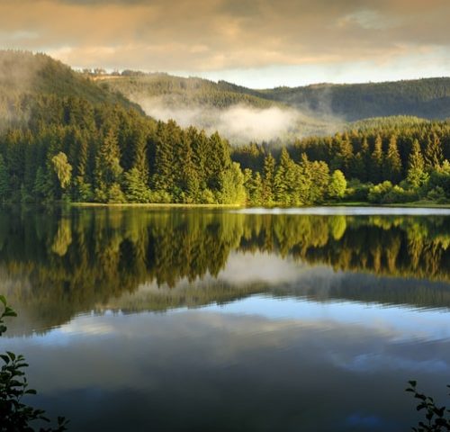 See im Harz See im Harz