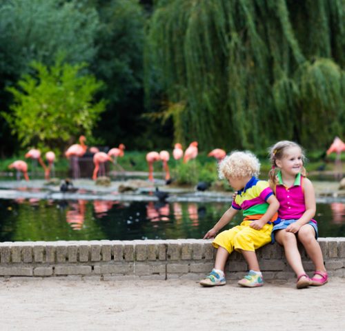 Kinder in Park Kinder in Park
