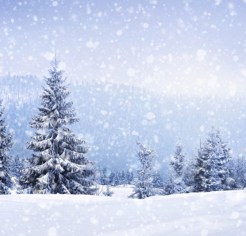 Winterlandschaft Winterlandschaft