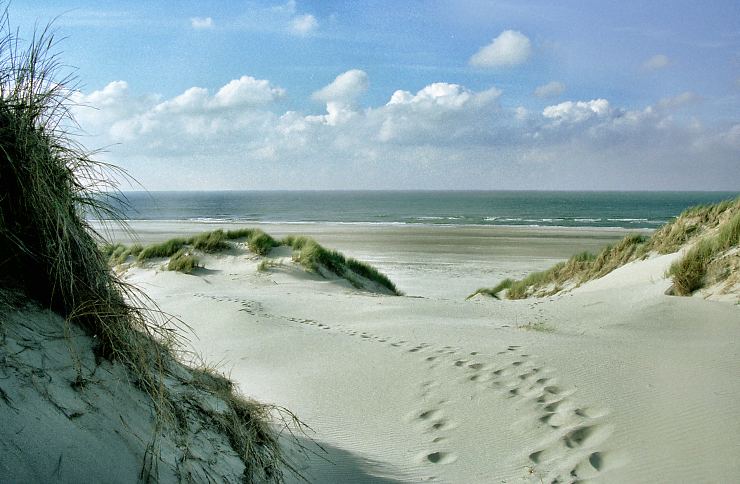 Zomersluiting Hoor Friesland