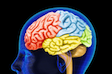 http://destrucs.accropaleo.hop.clickbank.net/?pid=109