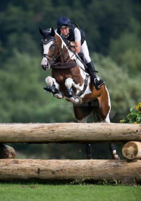 Horse for sale: Extremely eye catching 16.3 coloured mare 9yrs. - Cathiron  , Rugby , UK