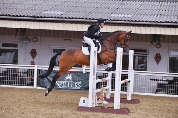 The Secret Weapon Finding The Best Baby Horses For Sale Insider Tips - m3to9pe