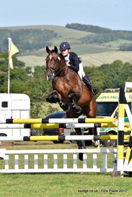 heath haywards spidge