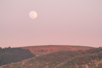 volle maan 21 januari 2019