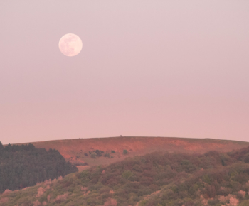 volle maan 21 januari 2019