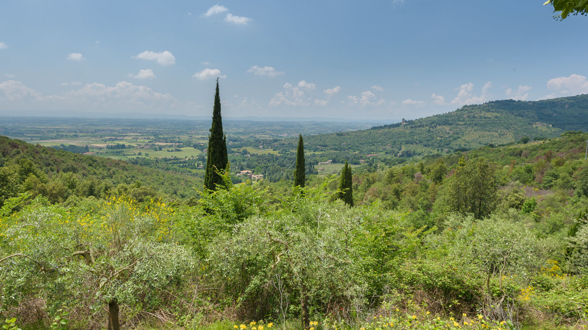 Italianway Cortona Le Volpaie 6+1