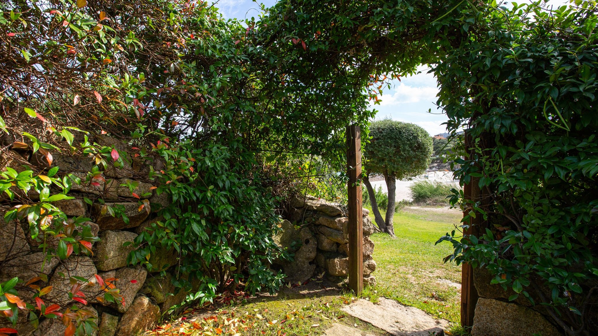 Villa Zeus 6