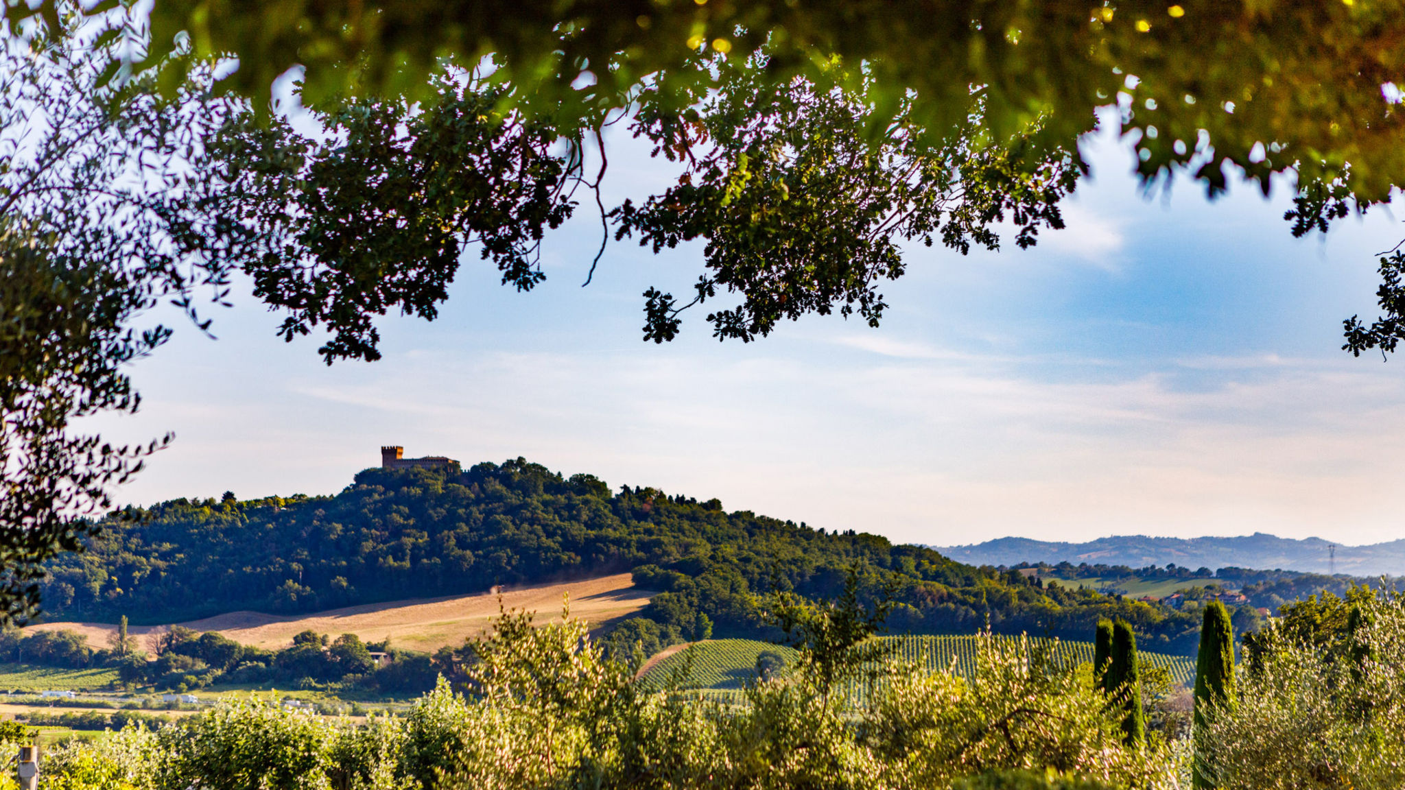 Le Dodici Querce 6+3