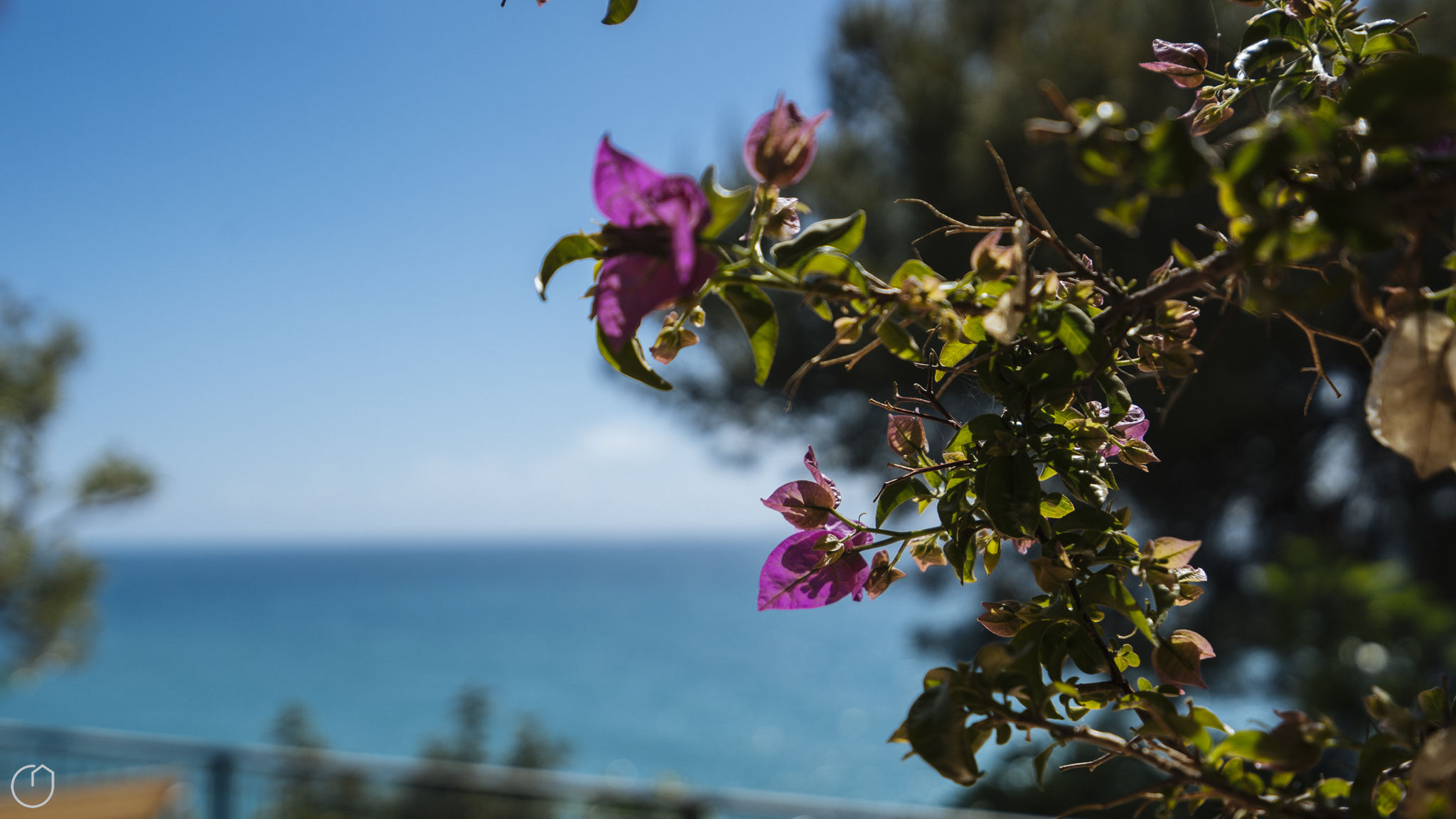 Italianway Andora Aurelia Harbour 103