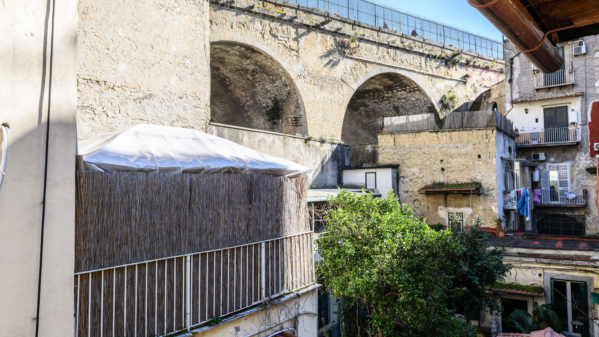Via S.Vincenzo 38