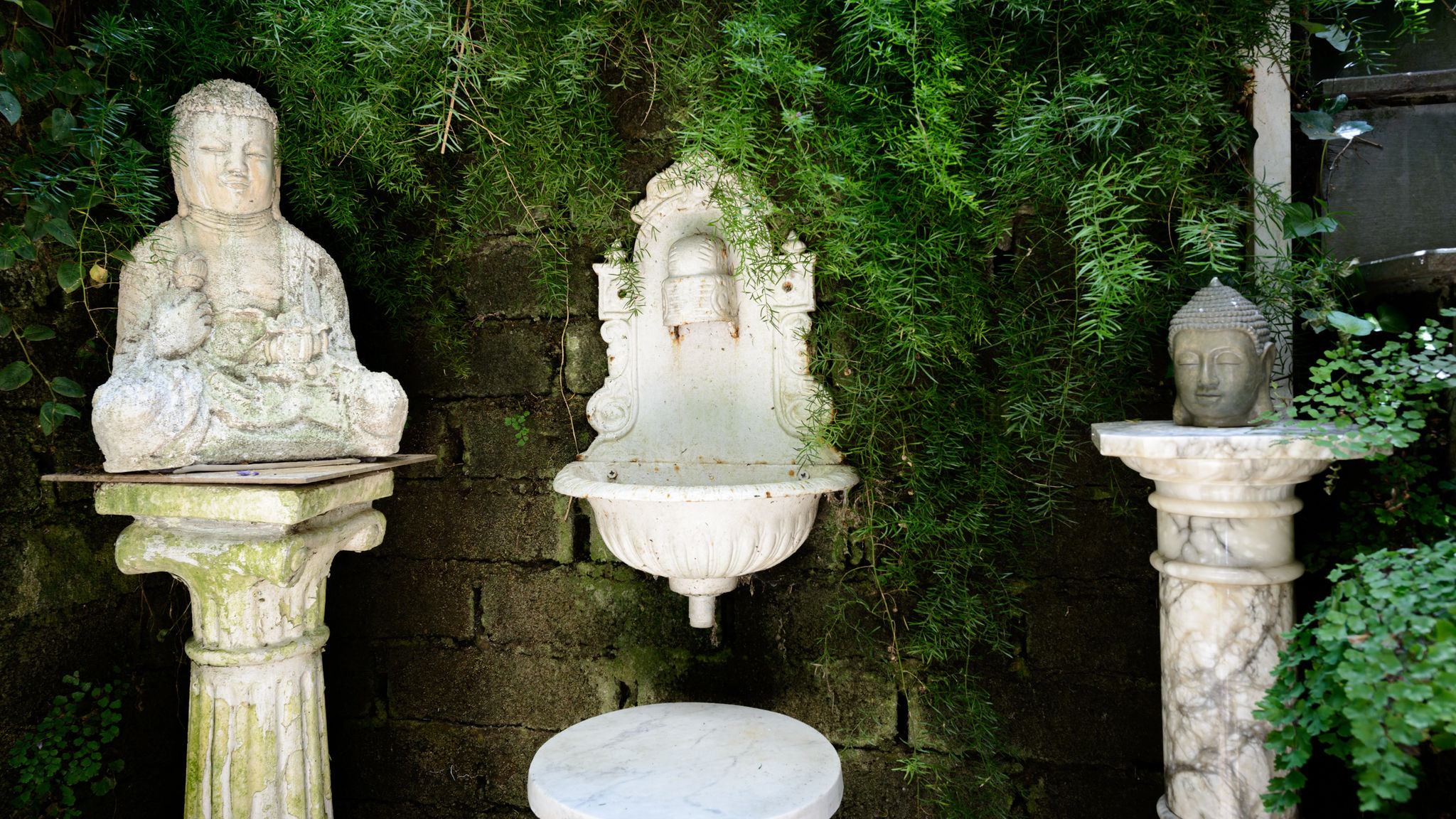 Giardino Segreto - Via Foria 216 (Tavernetta)