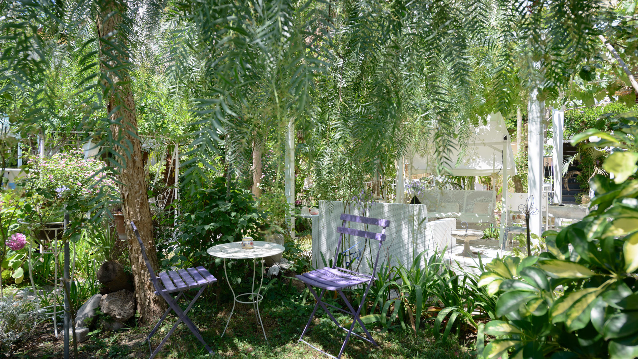 Giardino Segreto - Via Foria 216 (Tavernetta)