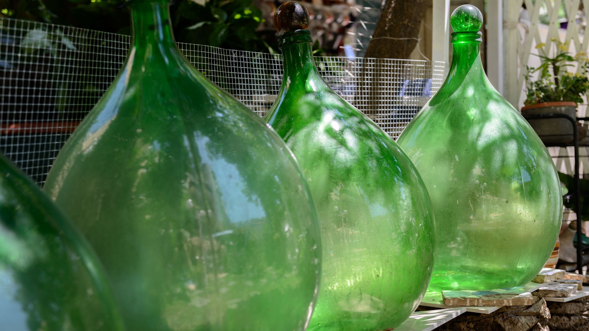 Giardino Segreto - Via Foria 216 (Tavernetta)