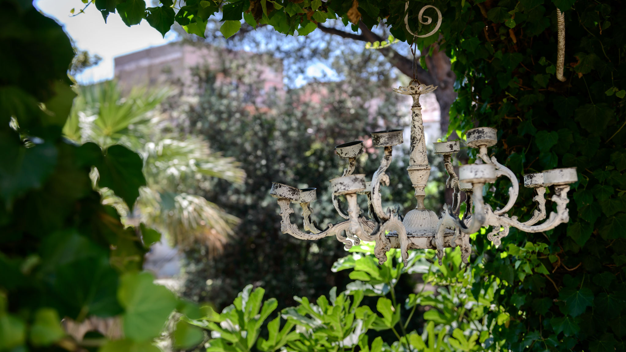 Giardino Segreto - Via Foria 216 (Tavernetta)