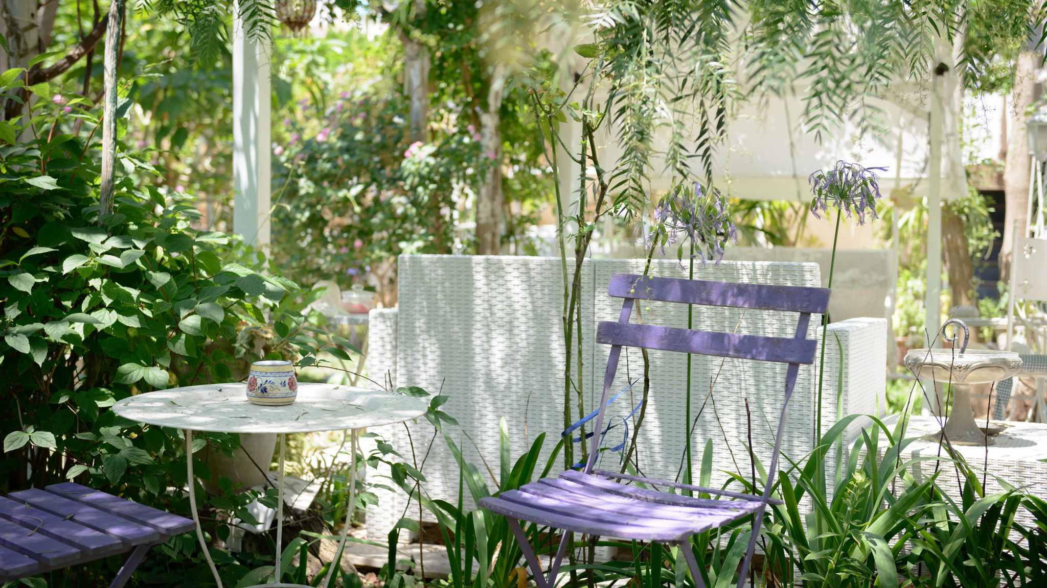 Giardino Segreto - Via Foria 216 (Tavernetta)