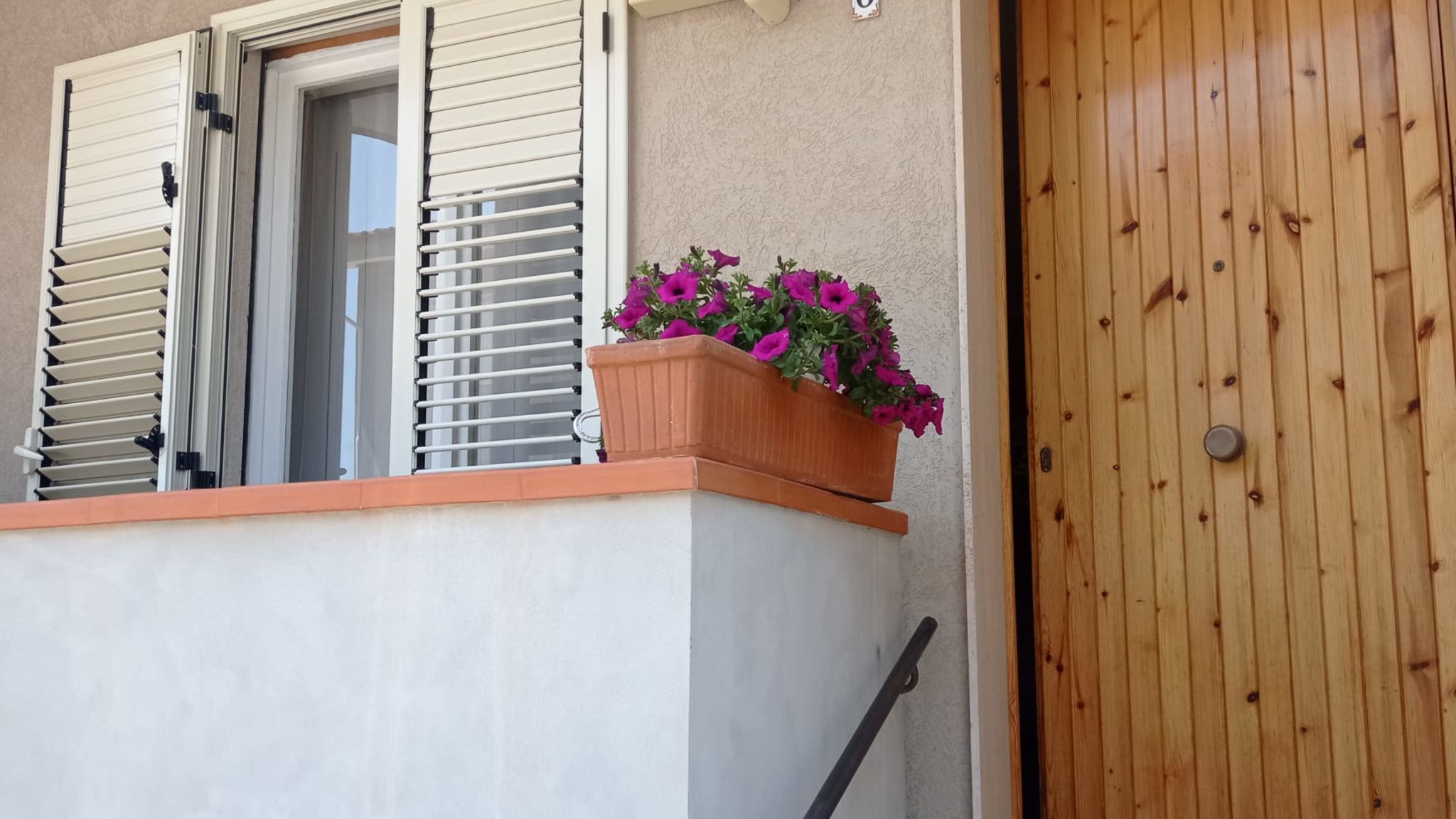 Fiori d'Arancio