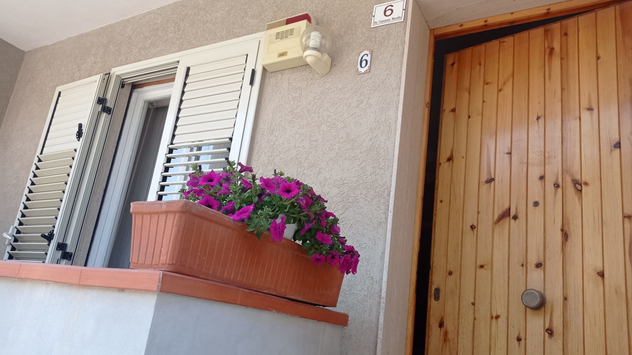 Fiori d'Arancio