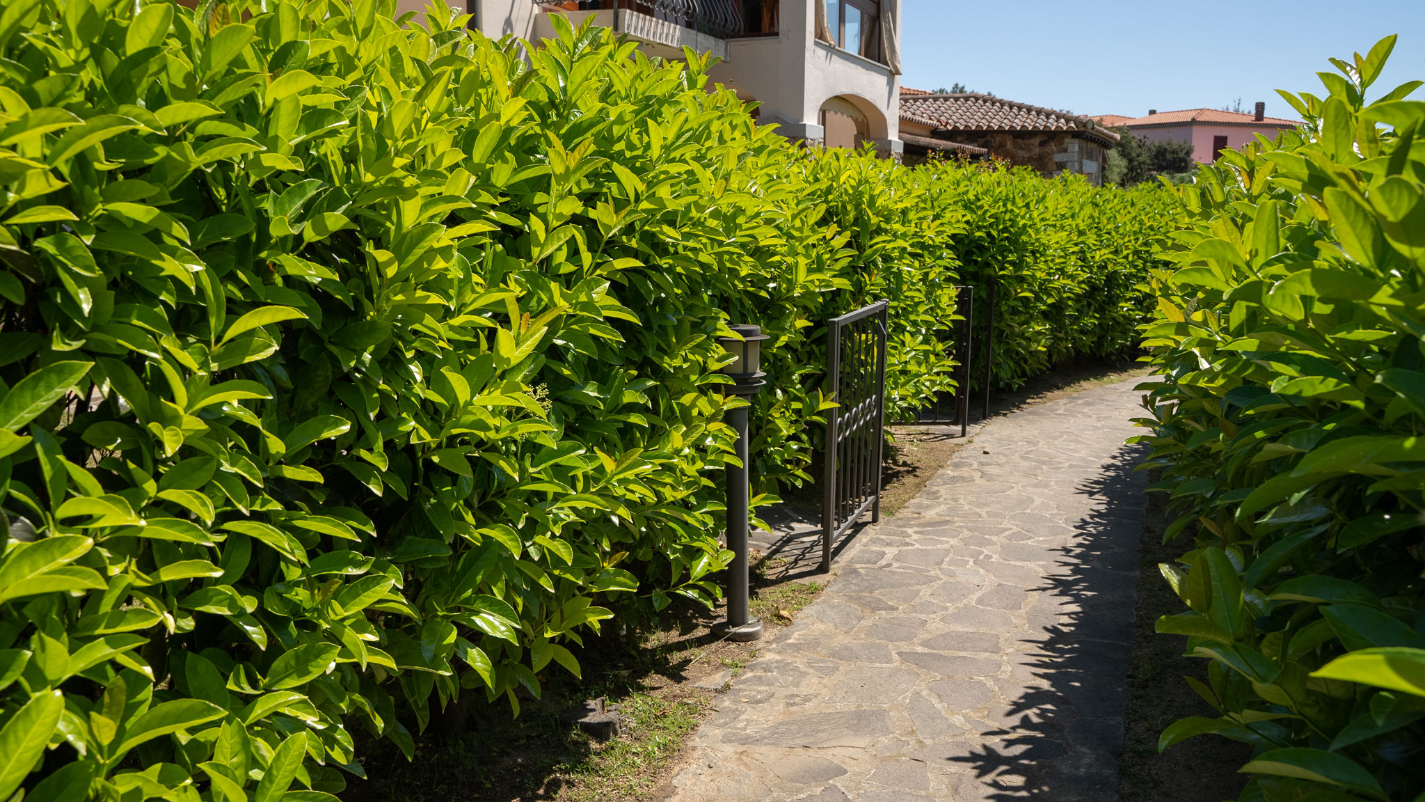 Italianway San Teodoro Il Bouquet