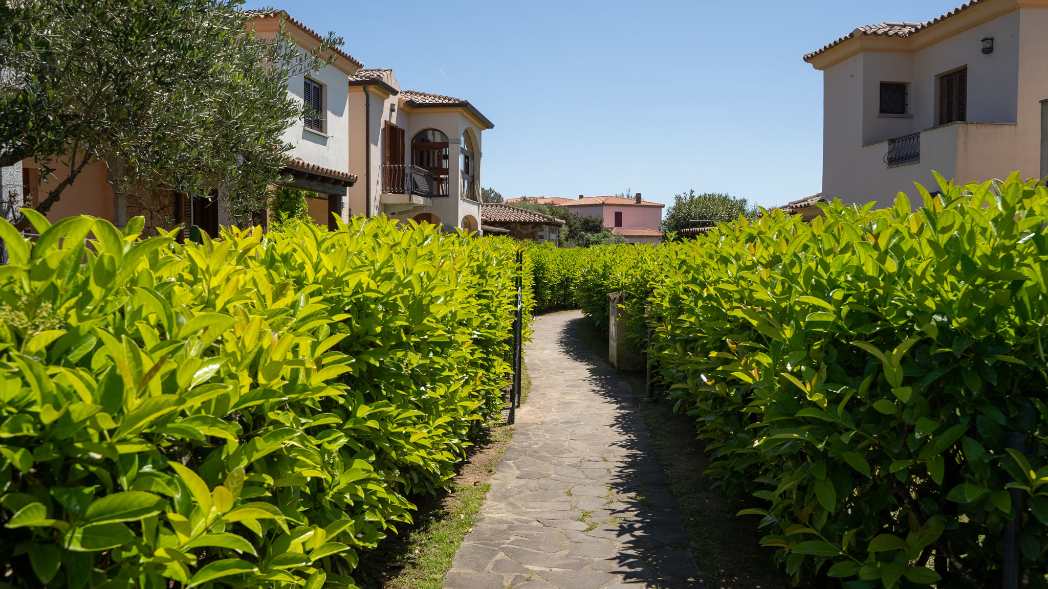 Italianway San Teodoro Il Bouquet