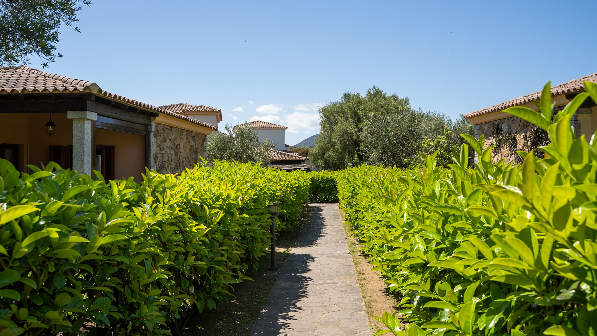 Italianway San Teodoro Il Bouquet