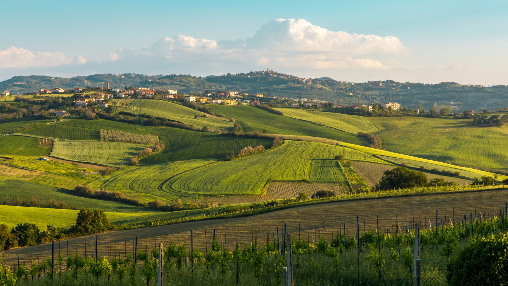 Italianway San Giovanni in Marignano Villa California 6