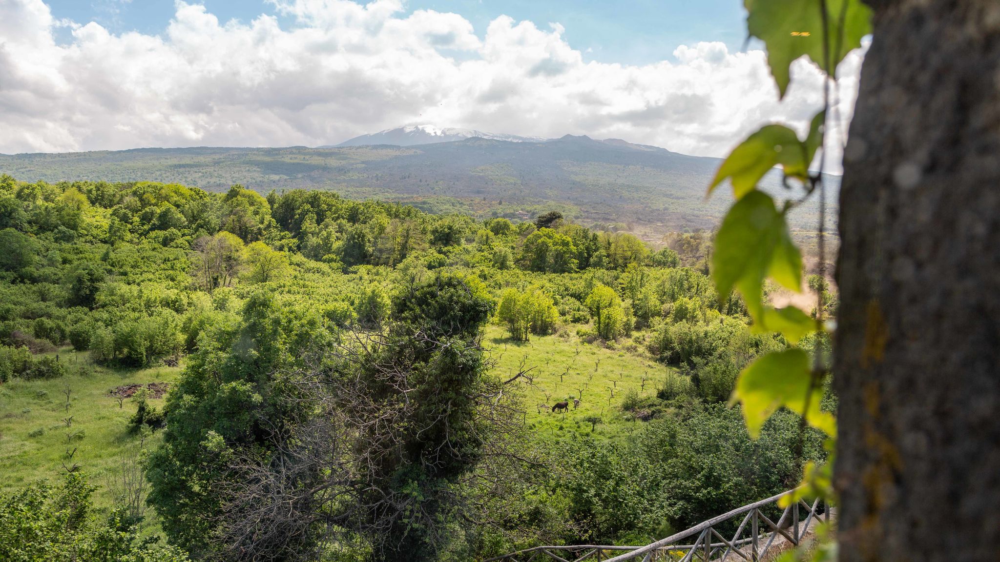 Italianway Castiglione di Sicilia Villa Terre Normanne 16