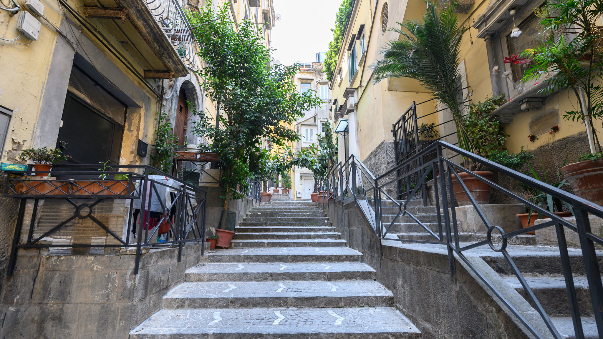 Vicoletto Sant'Arpino 15