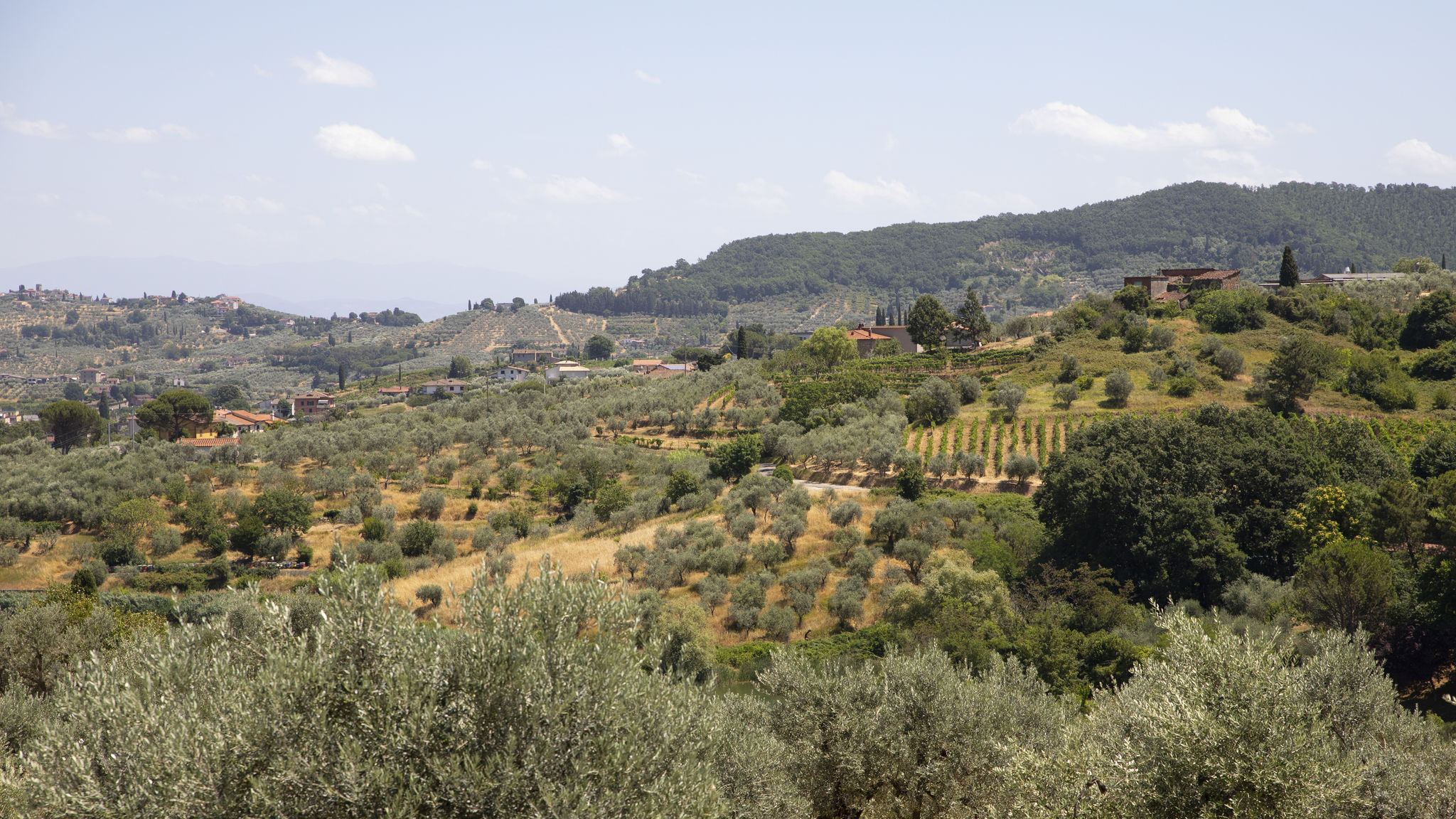 Il Dolce Vivere Quarrata Agriturismo Il Dolce Vivere - Iris