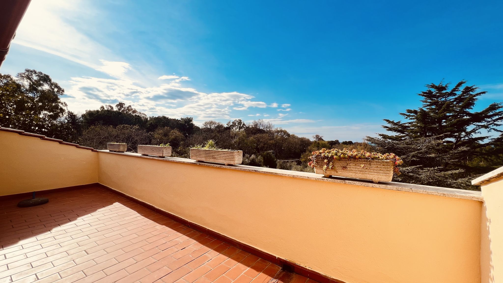 Appartamento 1 Immerso nel verde con vista mare