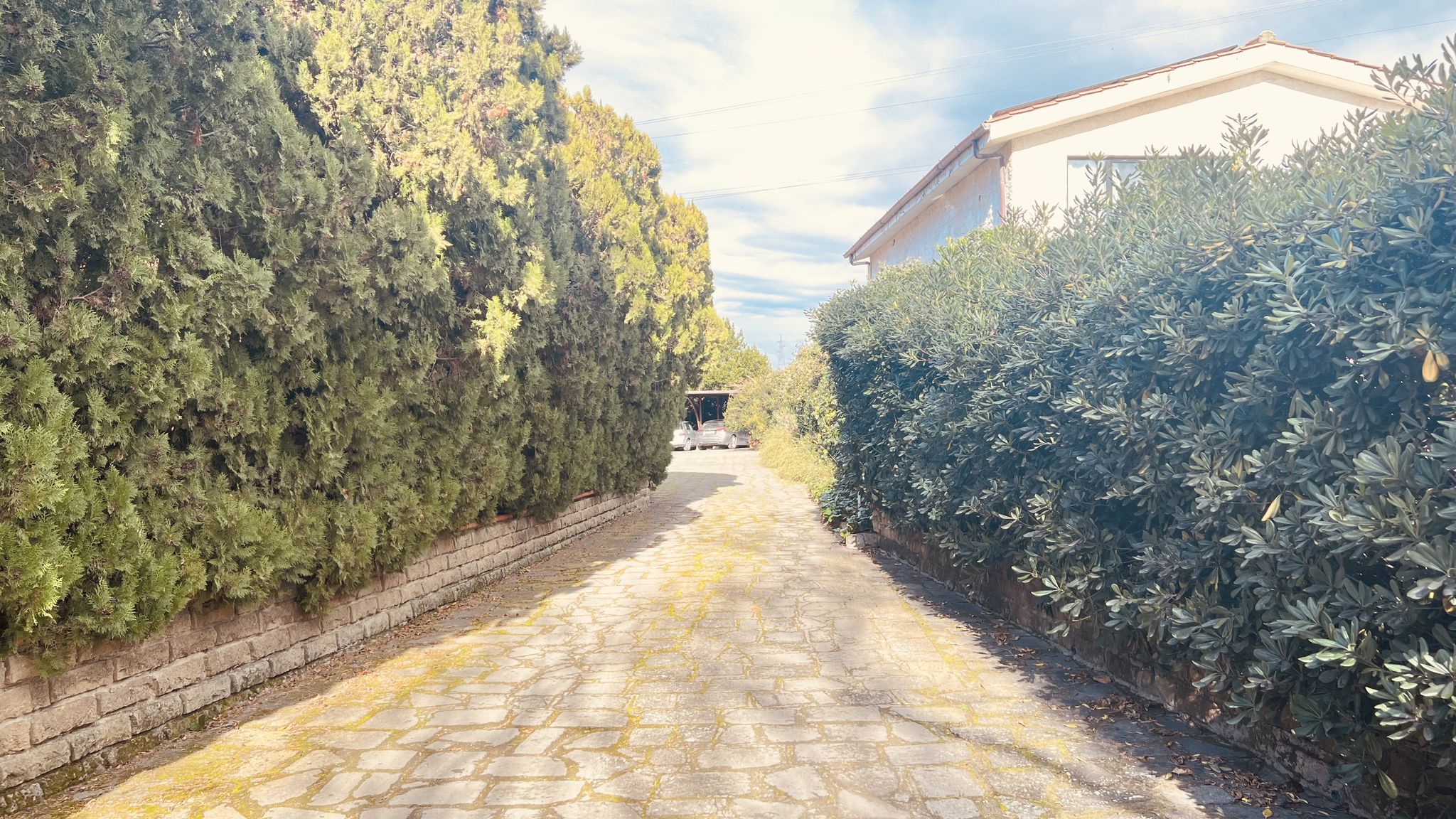 Appartamento 1 Immerso nel verde con vista mare