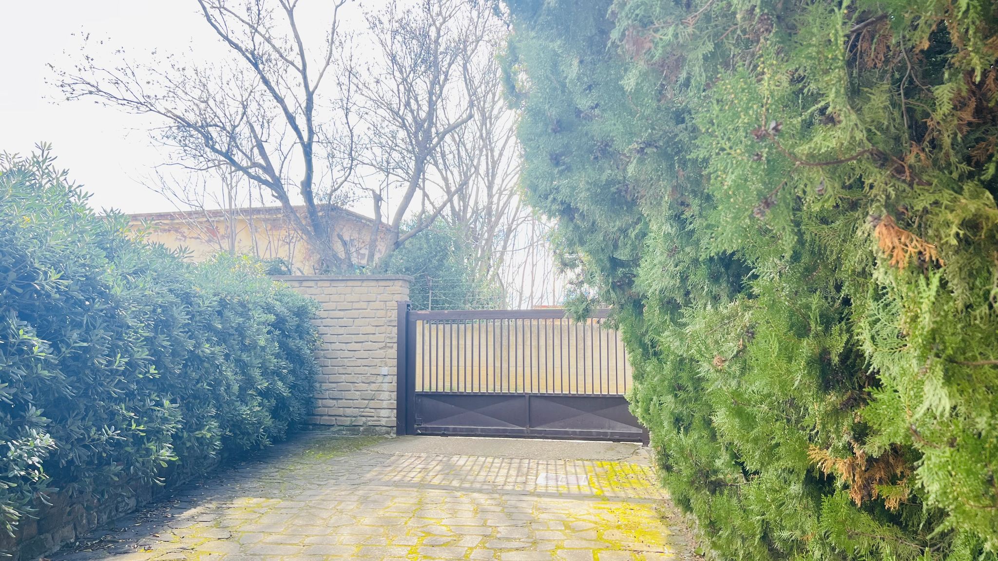 Appartamento 1 Immerso nel verde con vista mare