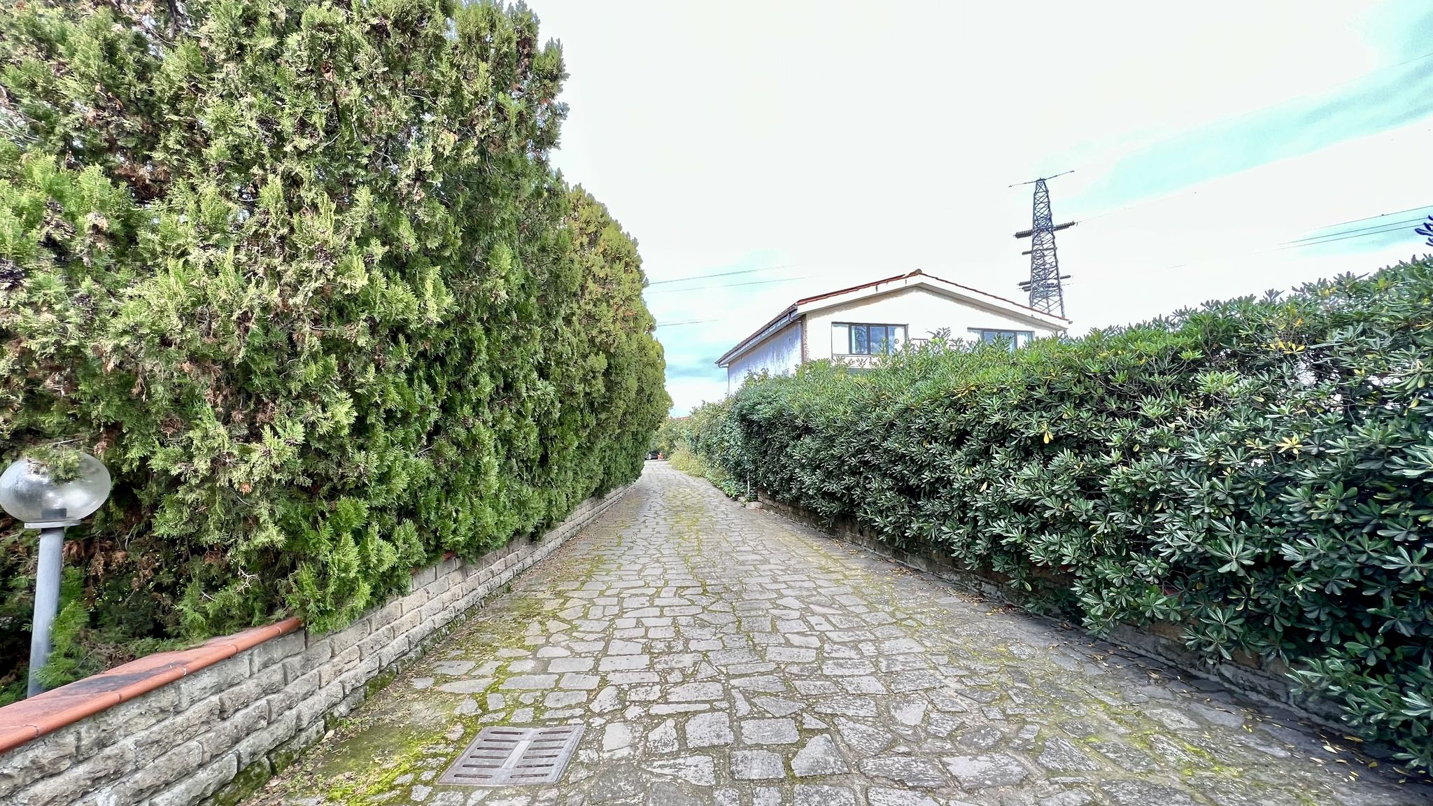 Appartamento 1 Immerso nel verde con vista mare