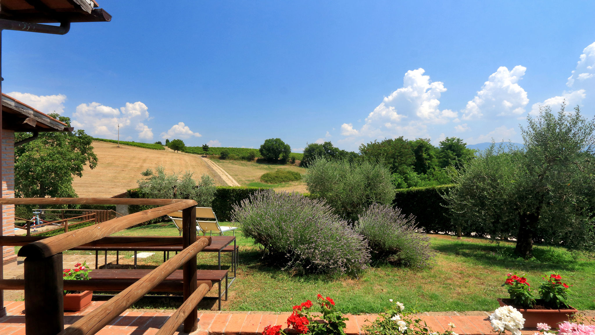 Italianway Orvieto Trianon Country - B