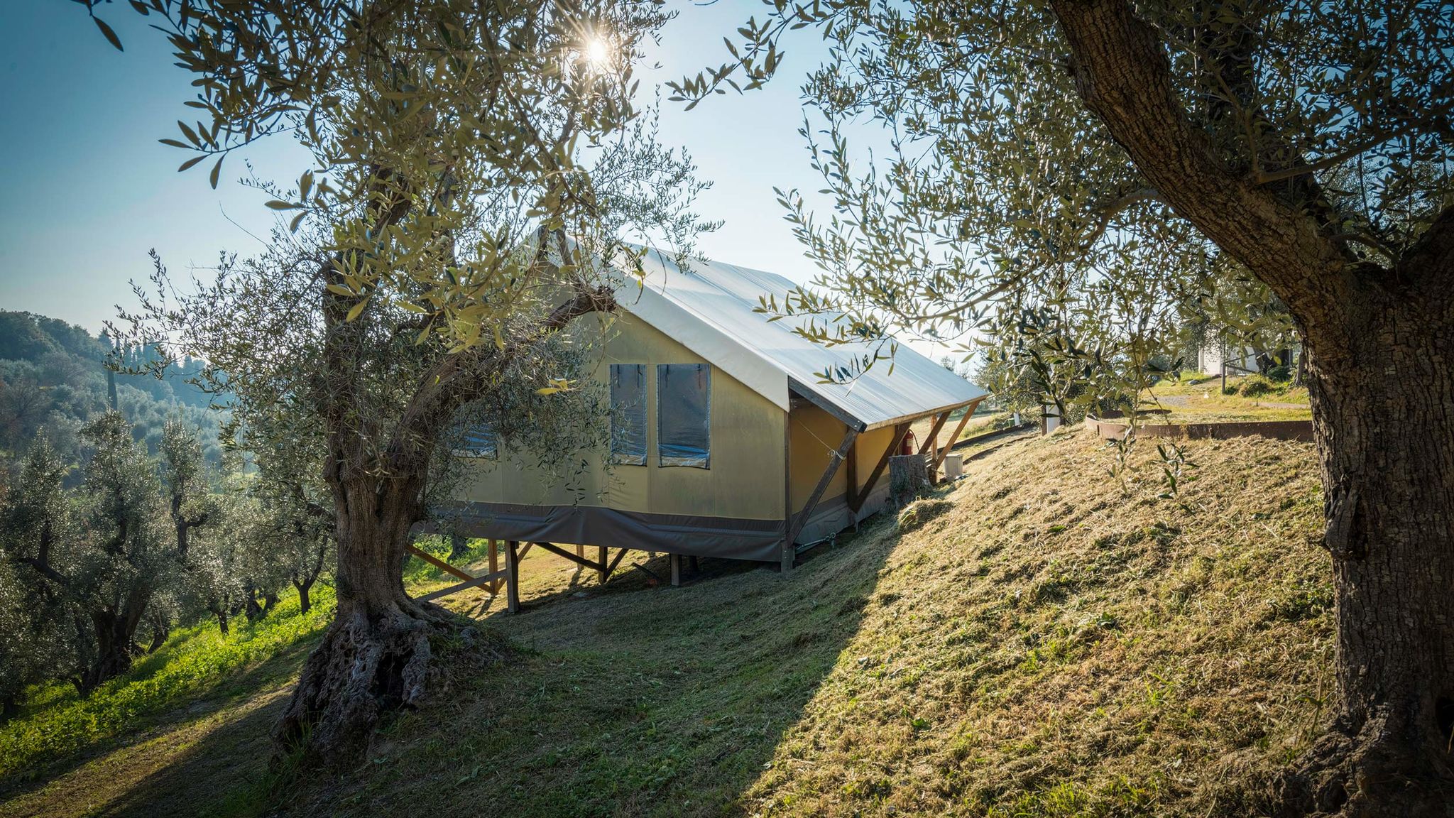 Podere Cortesi - Lodge il Cipresso