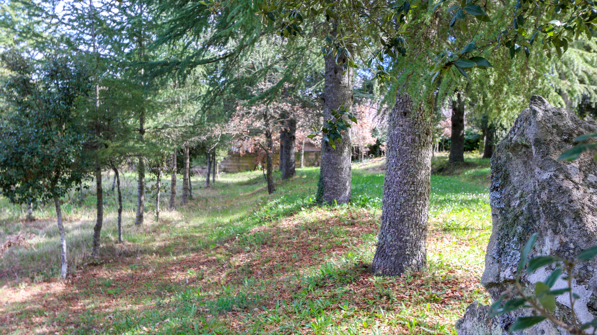 Italianway Mamoiada Country House Perda e Testa