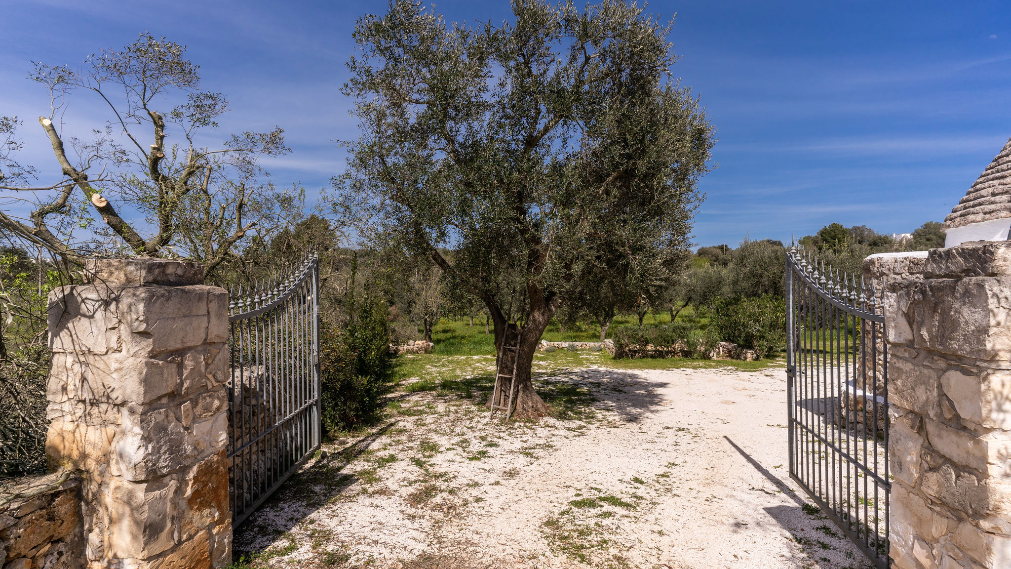 Le Case di Valentina Ostuni Trullo La Sacchina