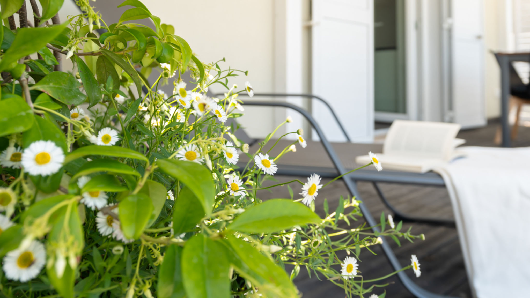 Italianway Torino di Sangro Ostriche 1 - YourPlace Abruzzo