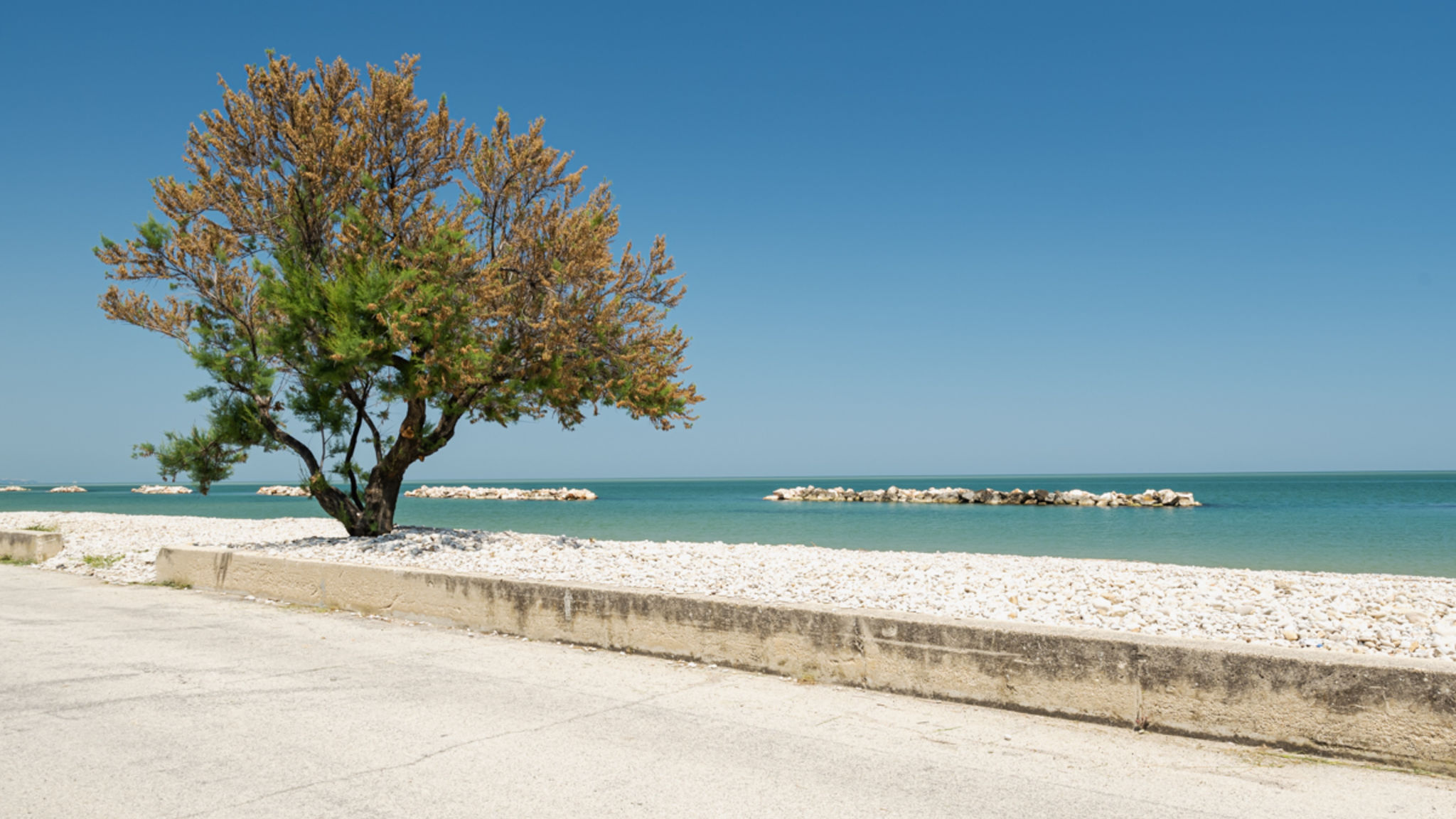 Italianway Torino di Sangro Ostriche 2 - YourPlace Abruzzo