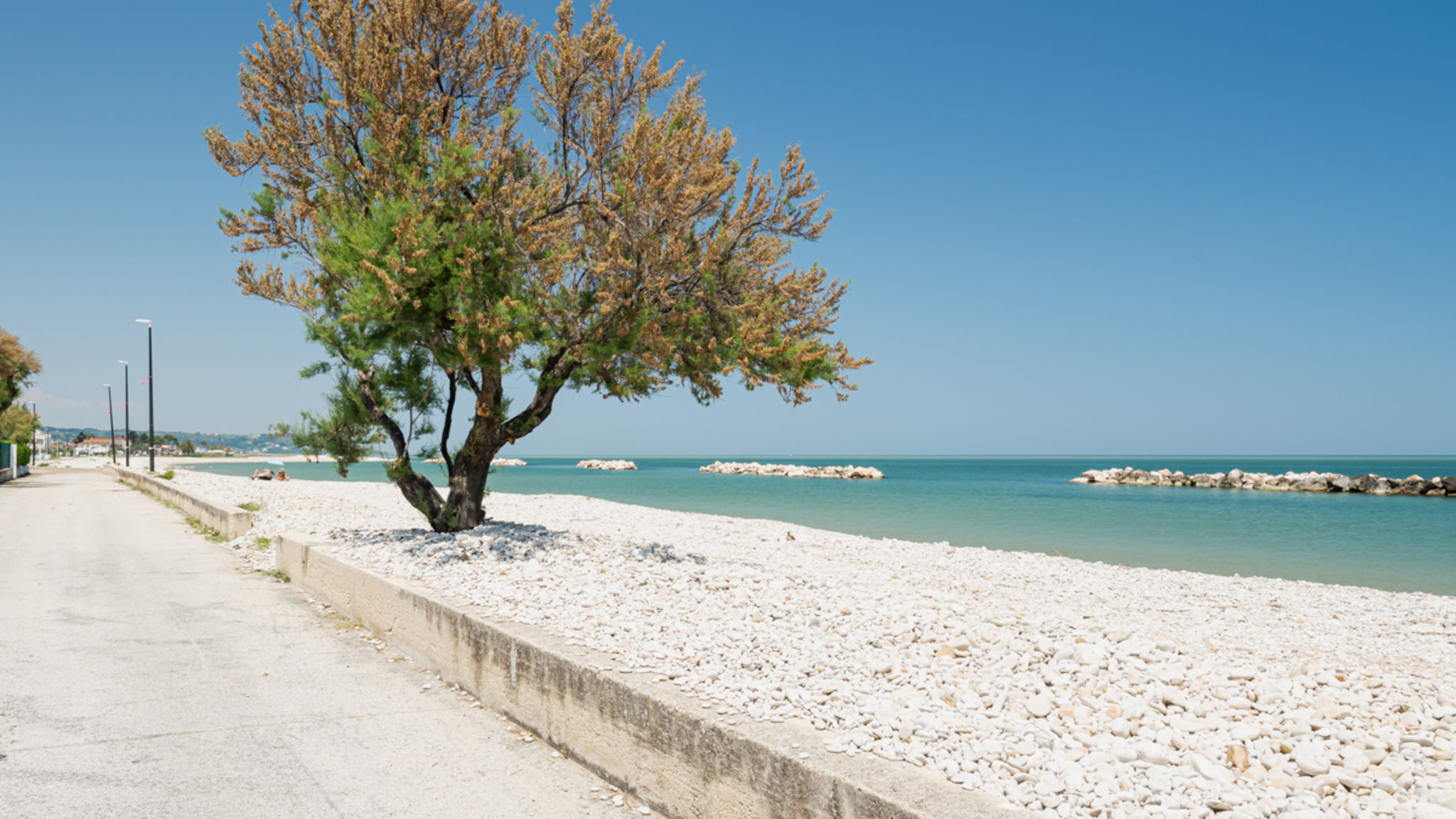 Italianway Torino di Sangro Ostriche 2 - YourPlace Abruzzo