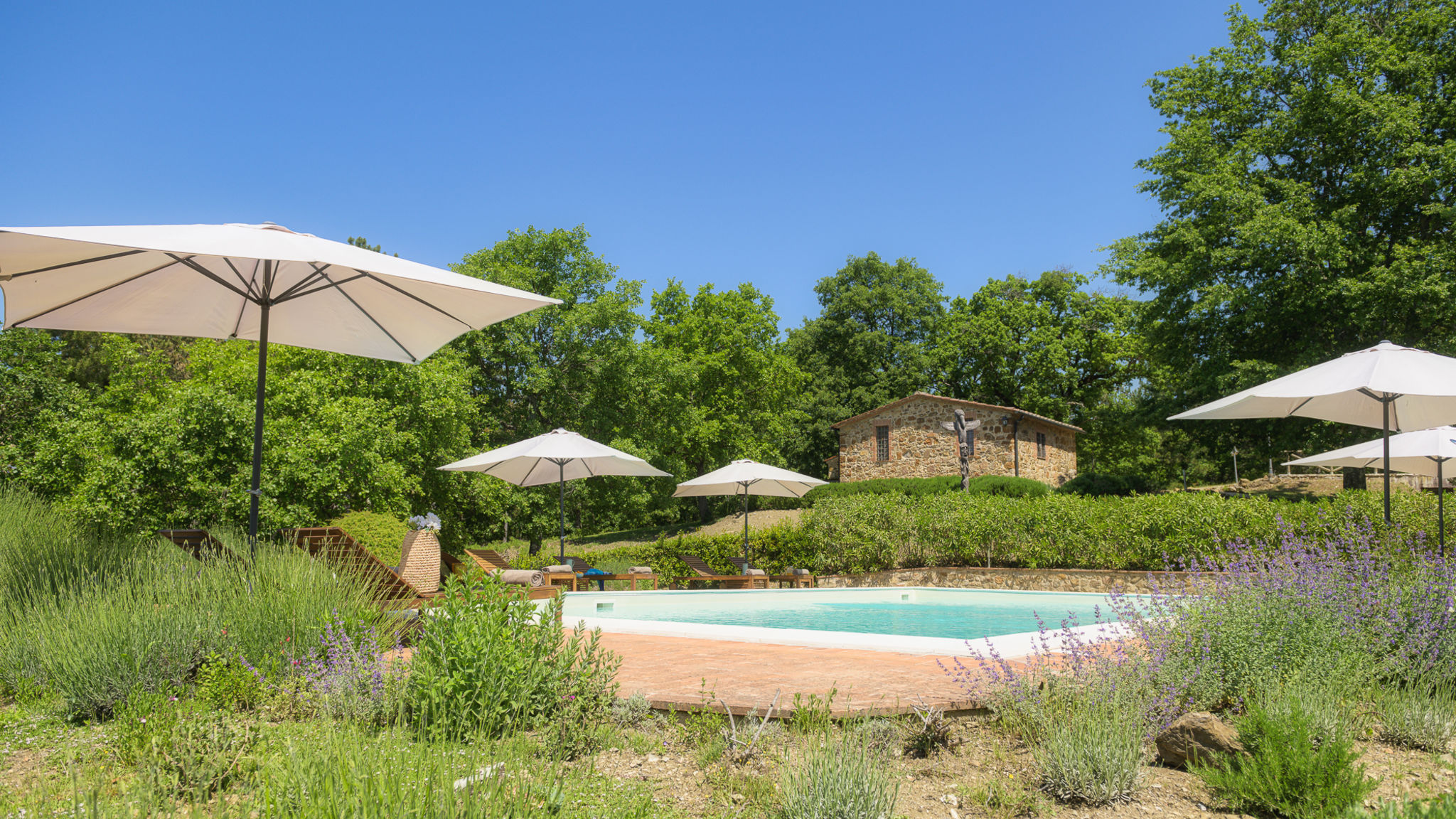 Italianway Radicondoli Podere Santa Croce 10