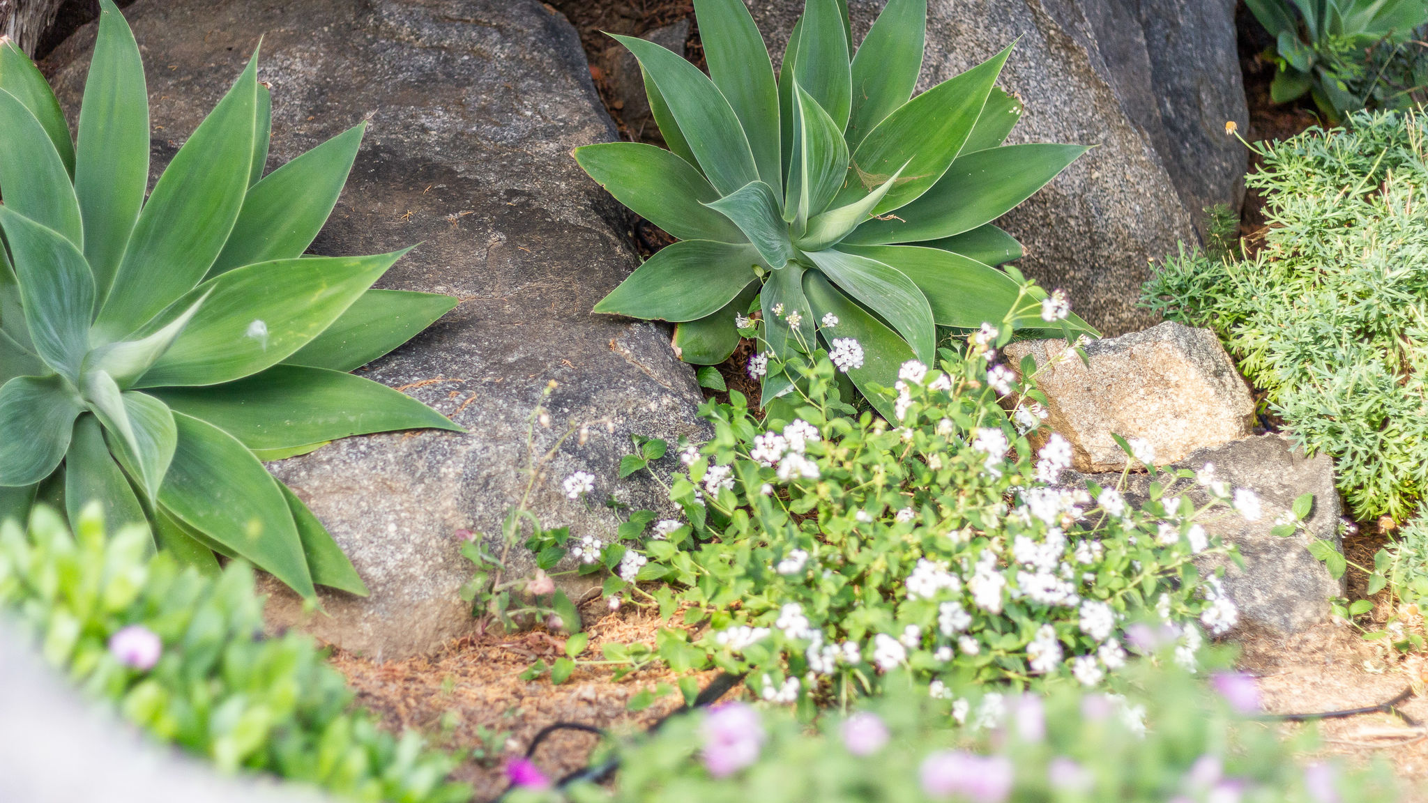 Italianway Maracalagonis Villa Gemma