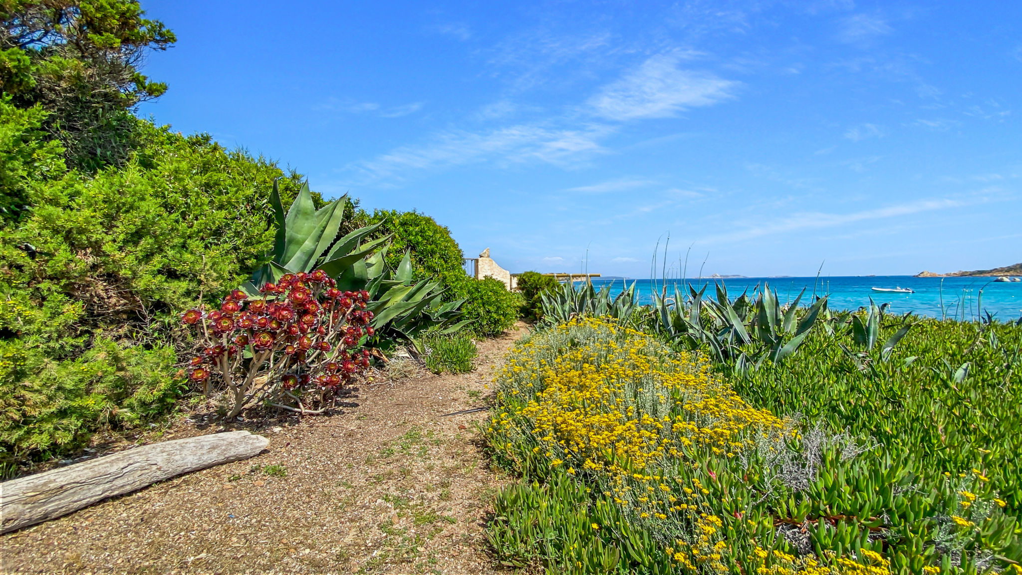 Italianway La Maddalena La Maranita Apartment