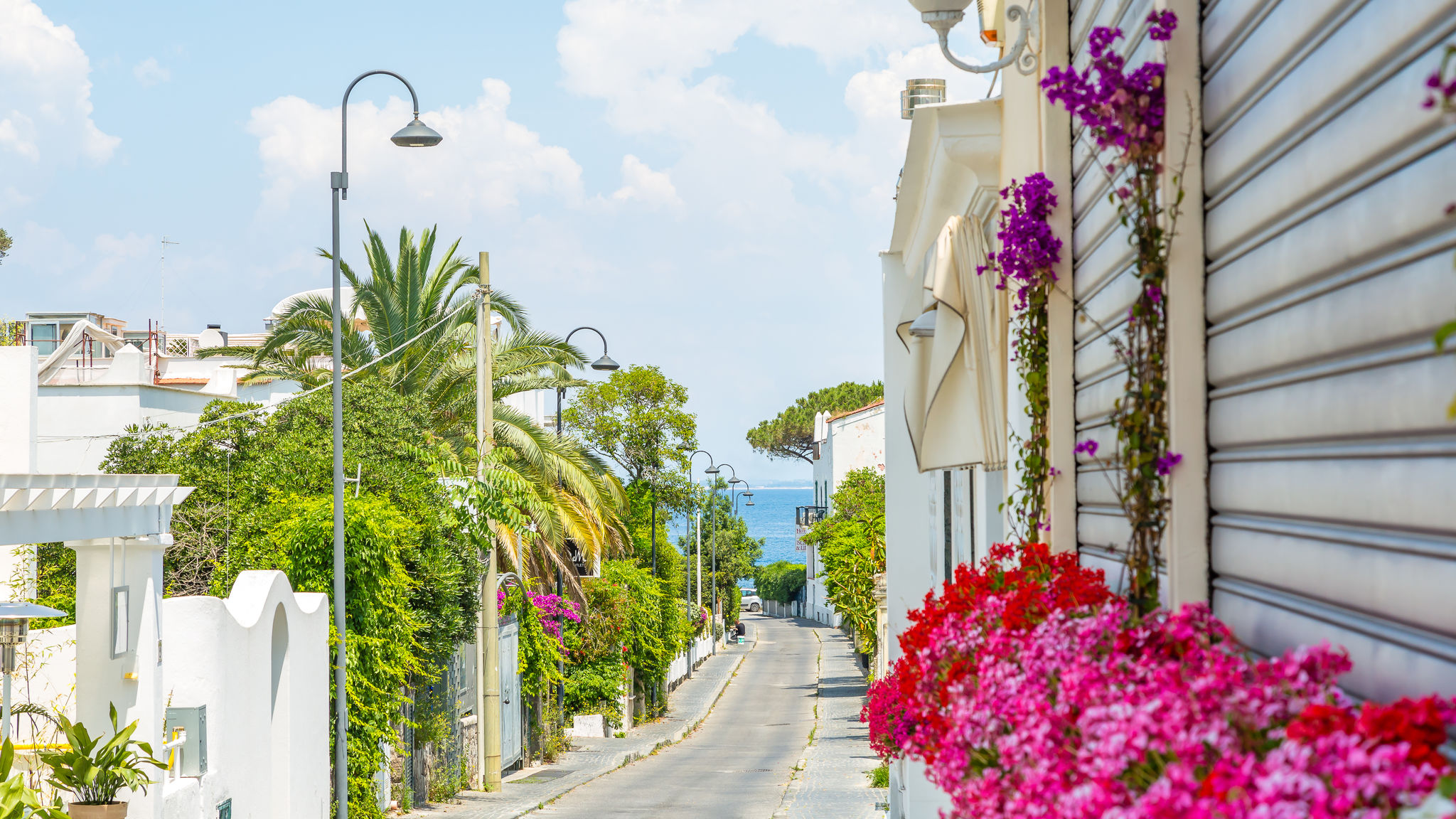 Napoliapartments.it Ischia Blumarina Terrace on Ischia