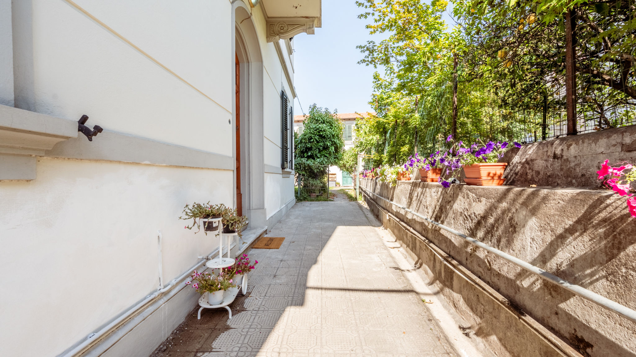 Pleiades Home Srl Pisa Anna De Miracoli by Pleiades Home