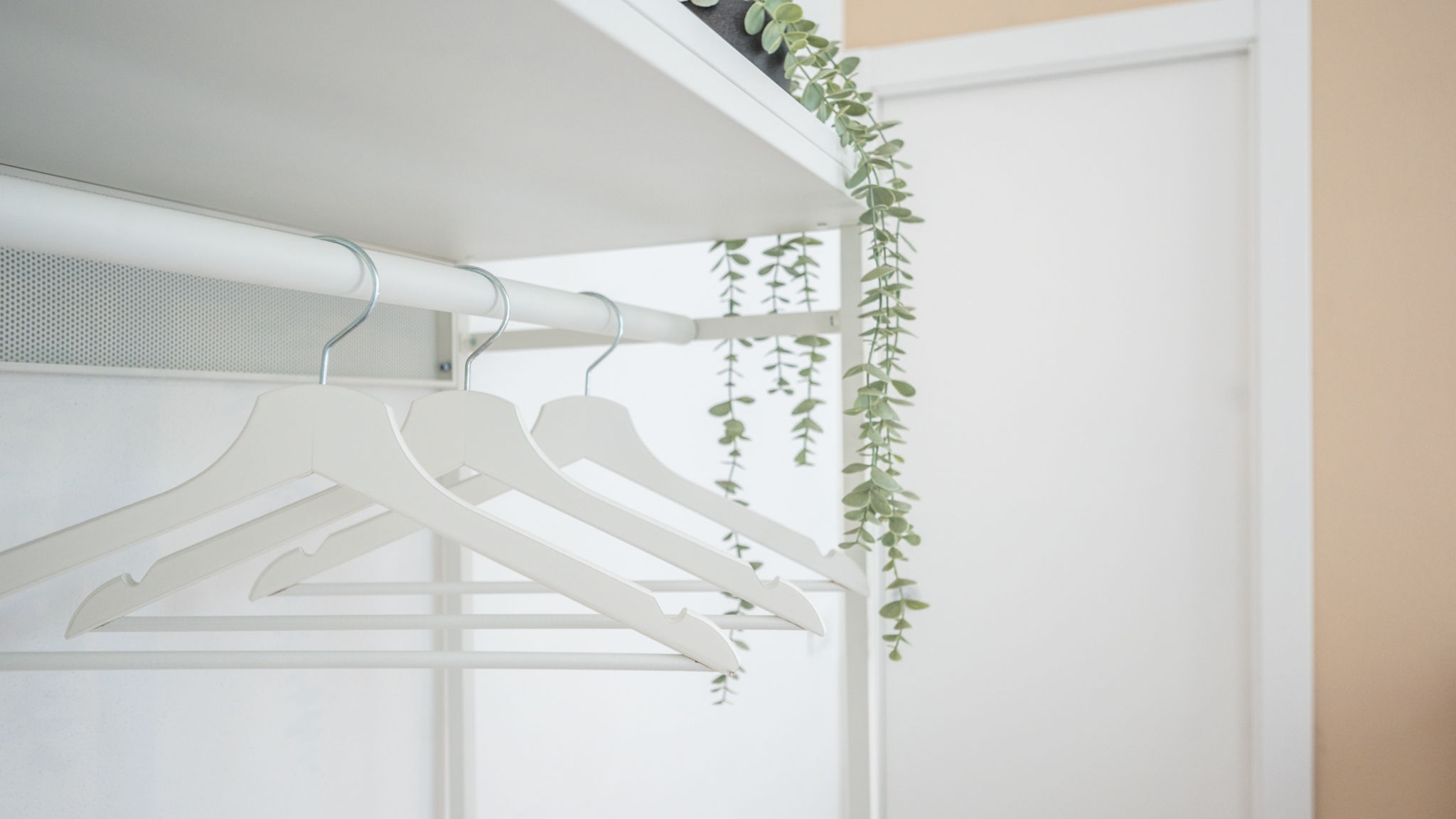Pleiades Home Srl Pisa Anna De Miracoli by Pleiades Home