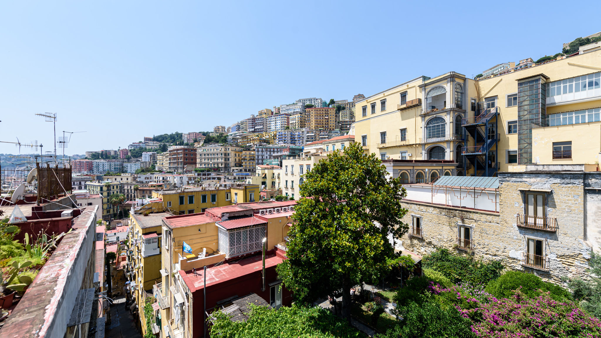 Casa Rega