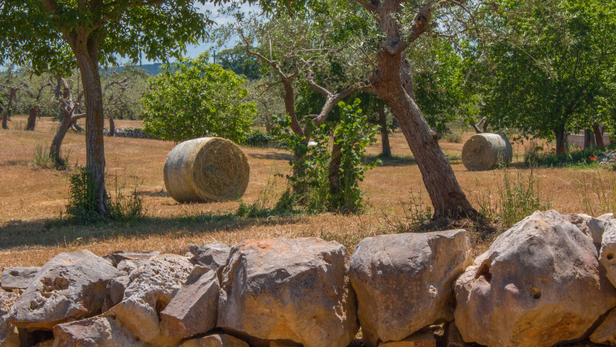 Trulli di Annetta