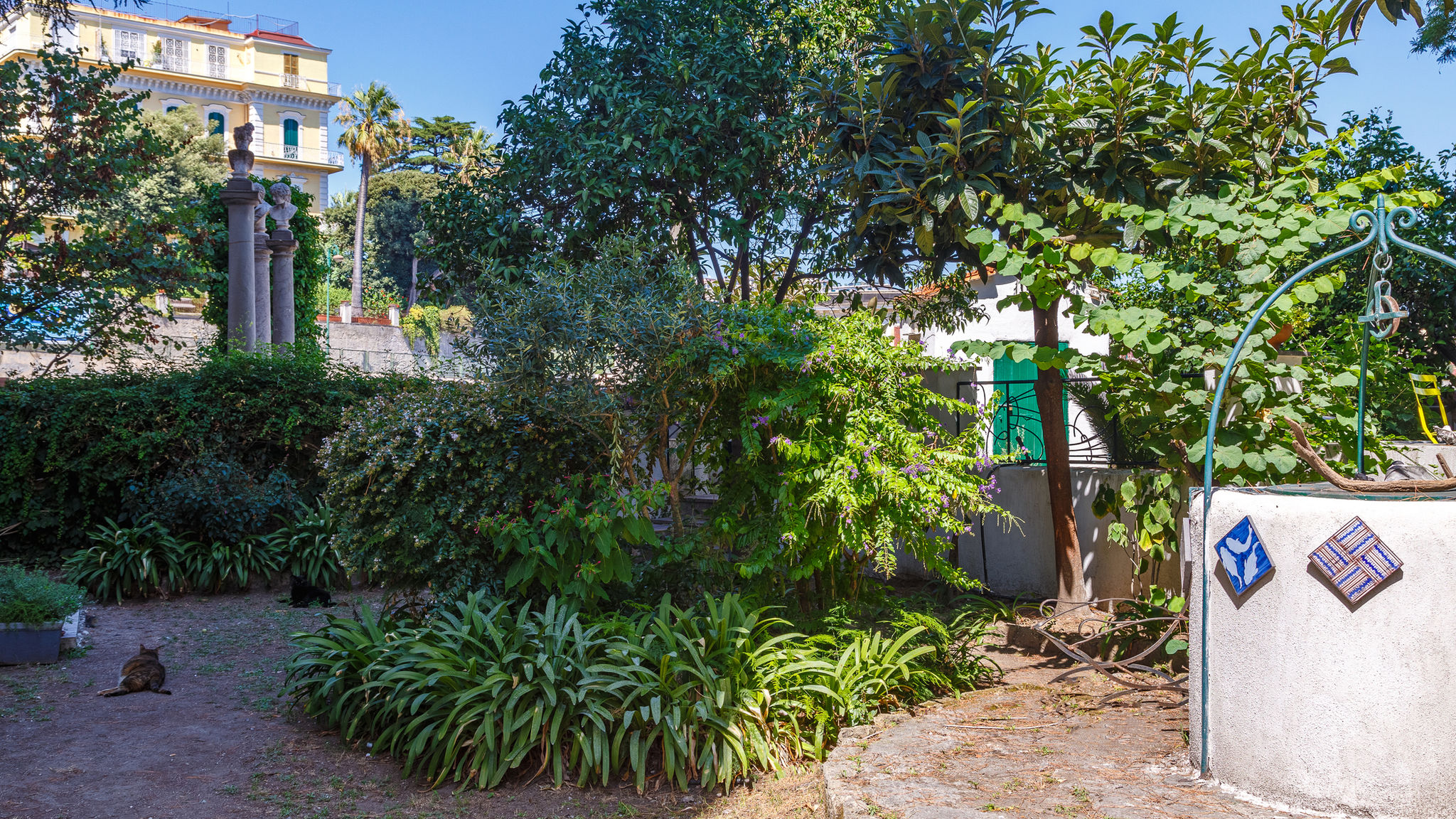 Napoliapartments.it Napoli  Romantic Place with Pines, cats and Stunning view - Lovely Frame