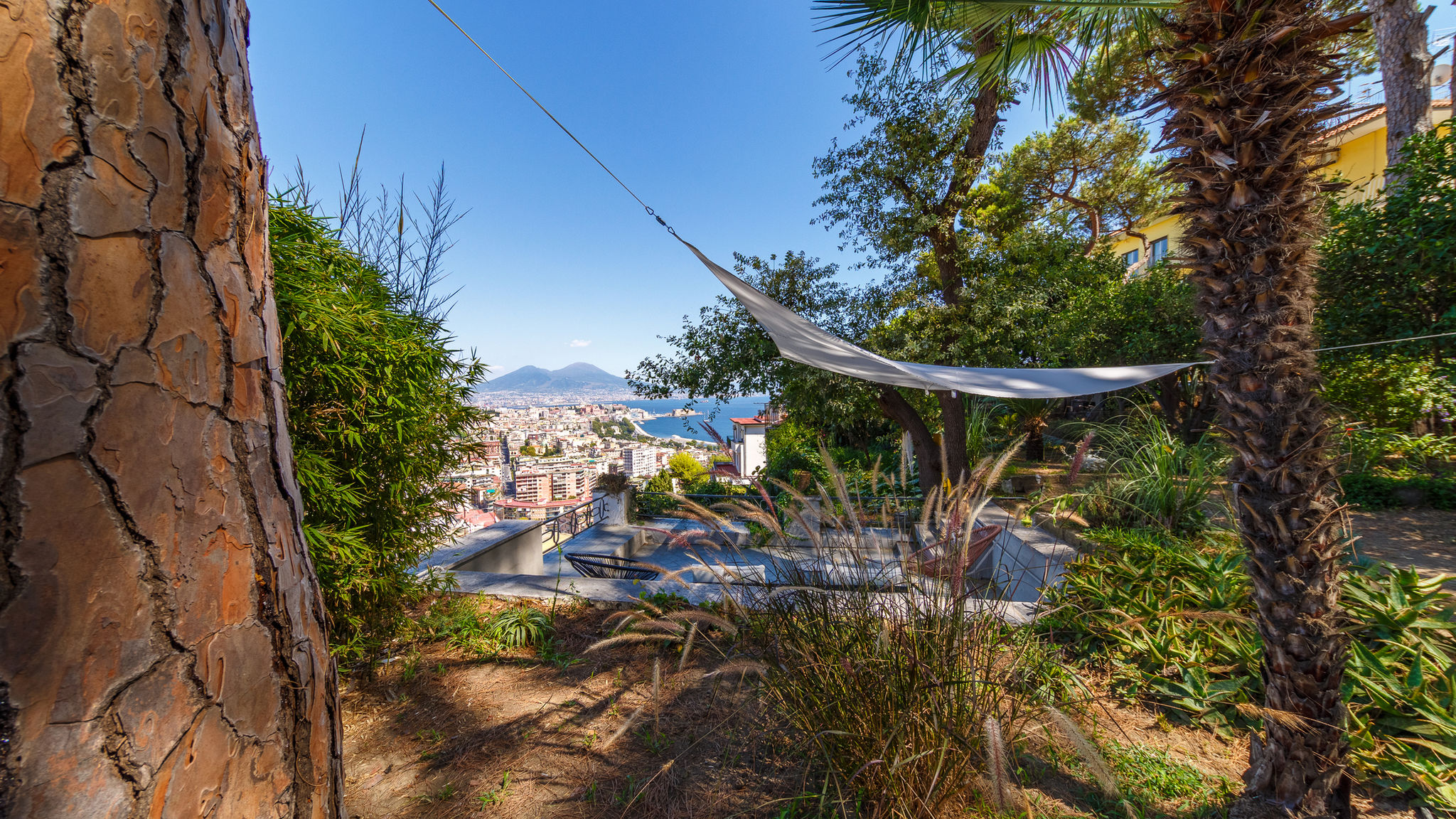 Italianway Napoli  Romantic Place with Pines, cats and Stunning view - Lovely Frame